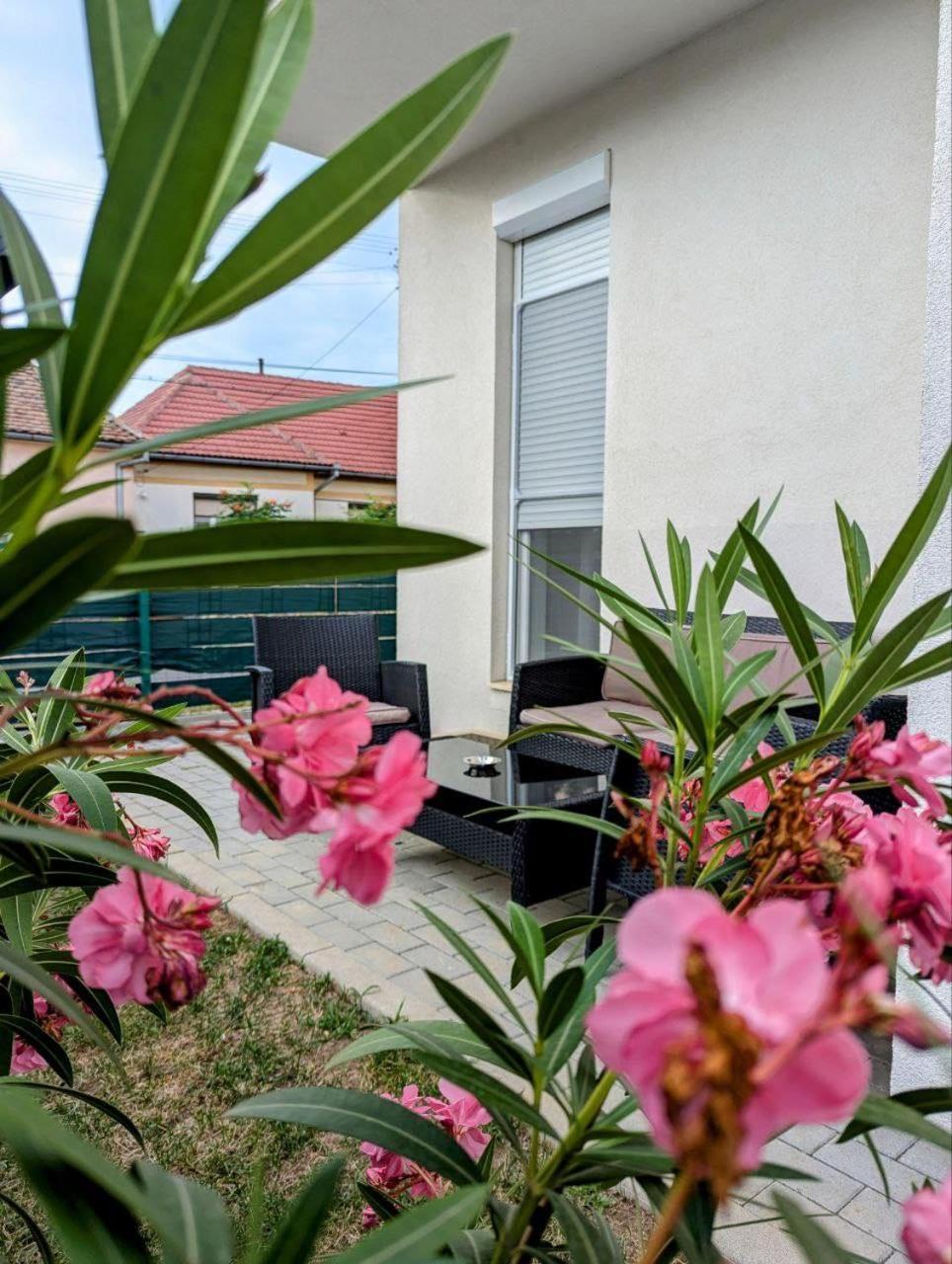 Gast Haus Apartment Sibiu Exterior foto